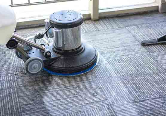 Professional Carpet Cleaning Carrara